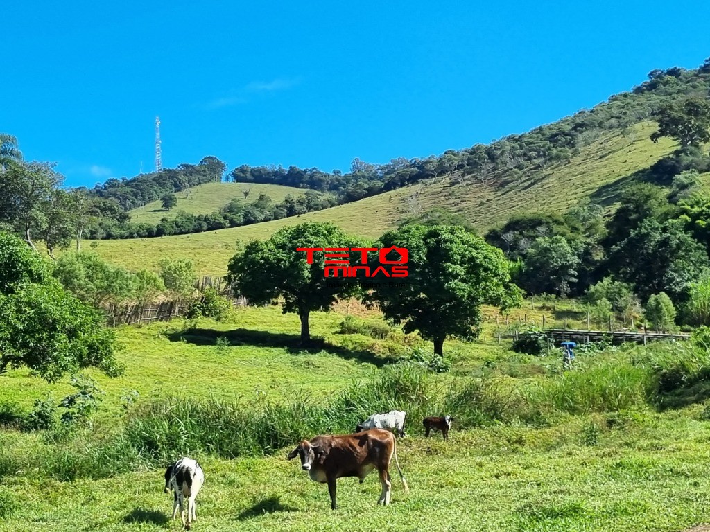 Terreno à venda, 11m² - Foto 2