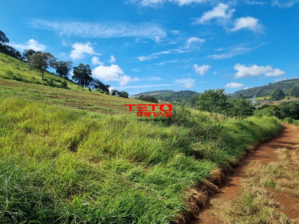 Sítio à venda - Foto 10
