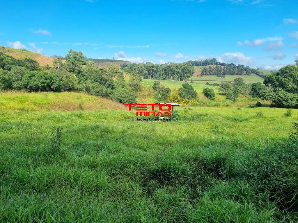 Chácara à venda - Foto 5