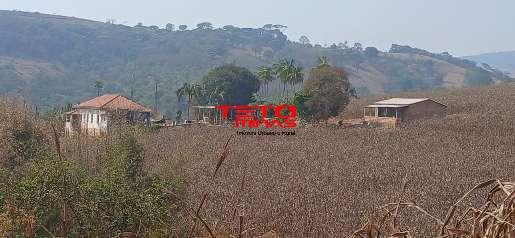 Fazenda à venda com 4 quartos - Foto 6