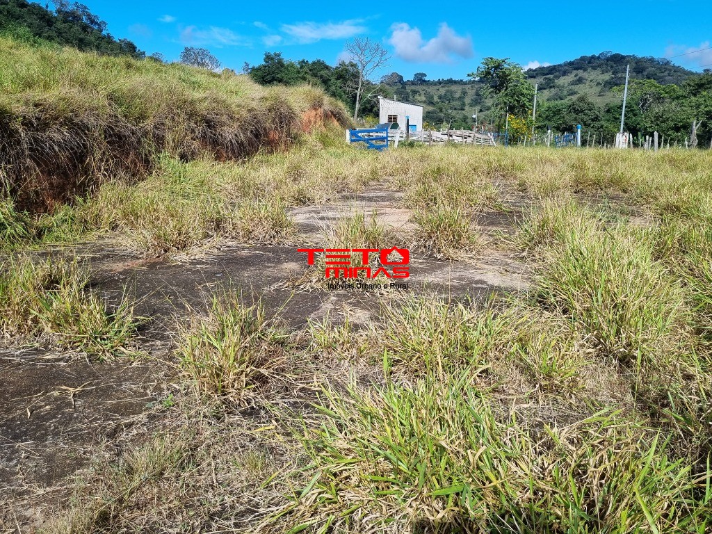 Sítio à venda - Foto 6