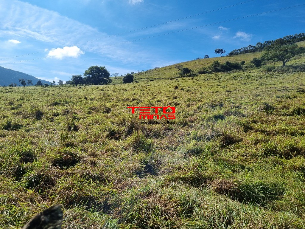 Sítio à venda - Foto 10