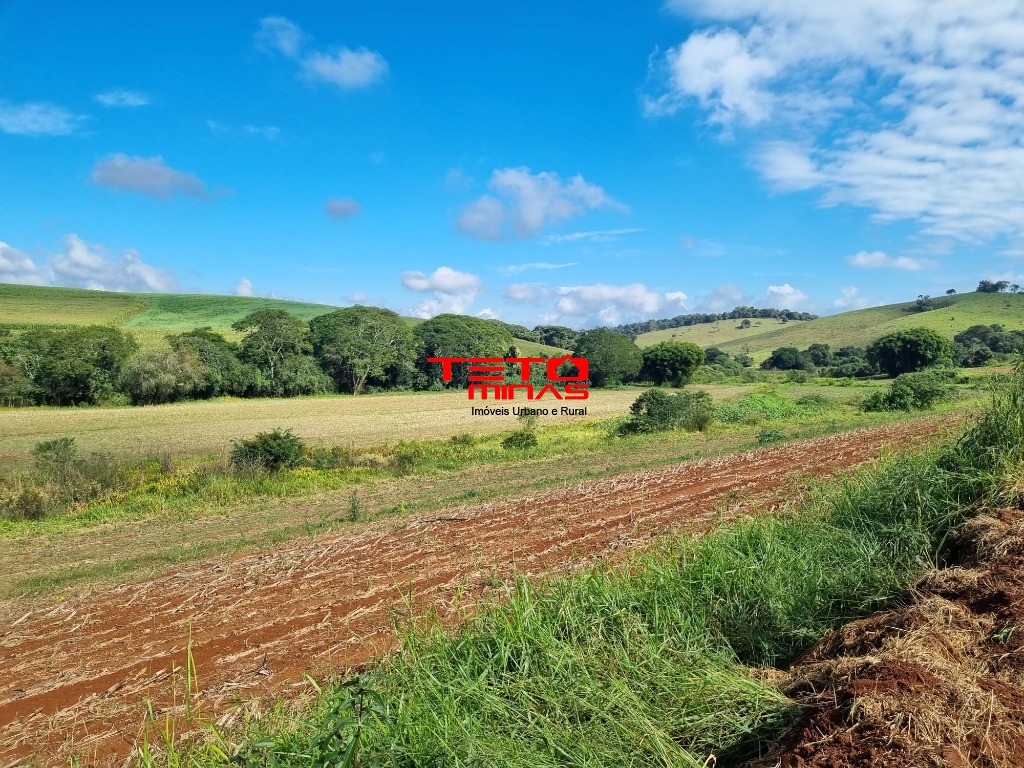 Sítio à venda - Foto 8
