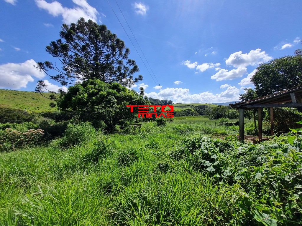 Fazenda-Sítio-Chácara - Foto 5