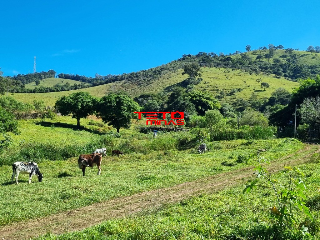 Terreno à venda, 11m² - Foto 3
