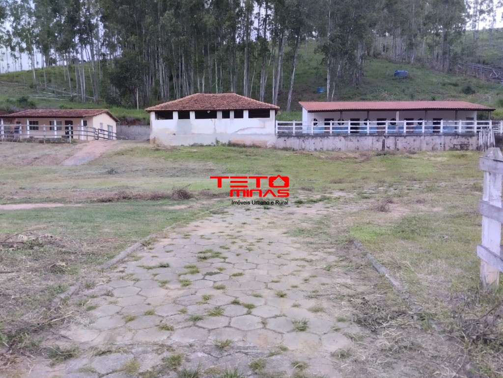Sítio à venda - Foto 7