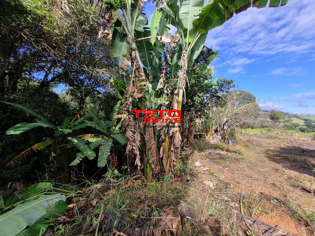 Chácara à venda - Foto 5