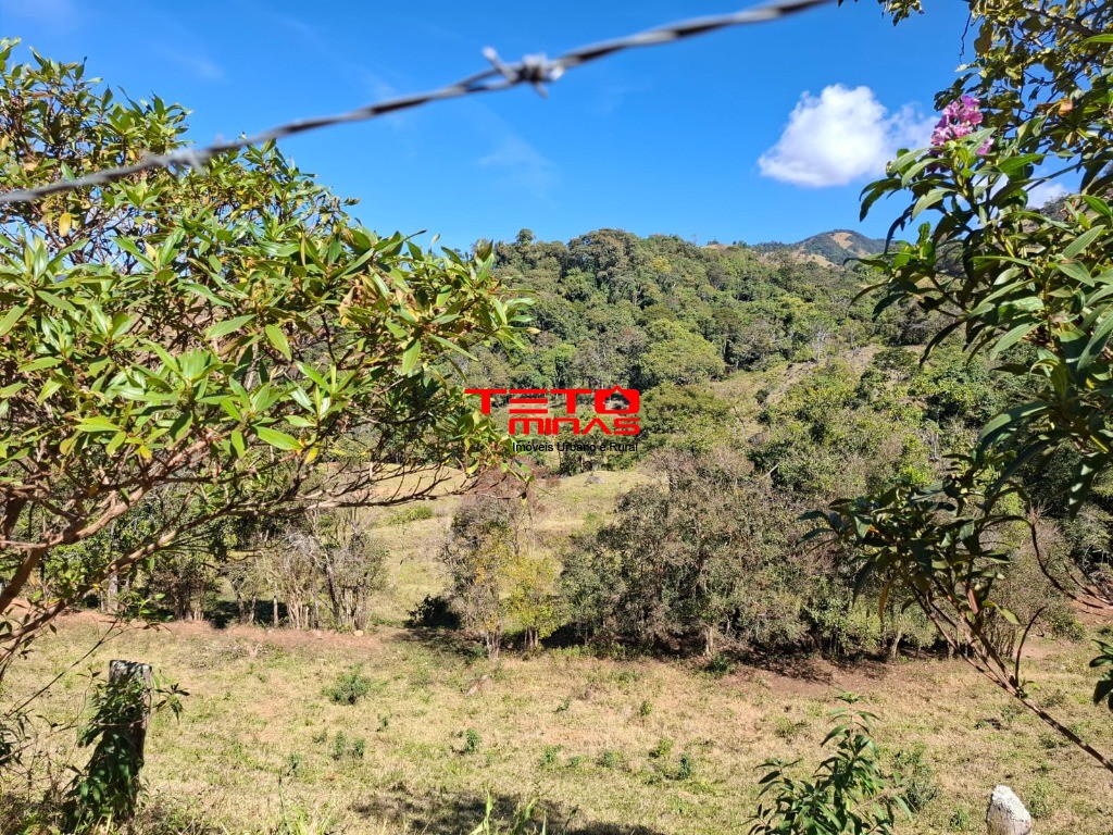 Chácara à venda - Foto 3