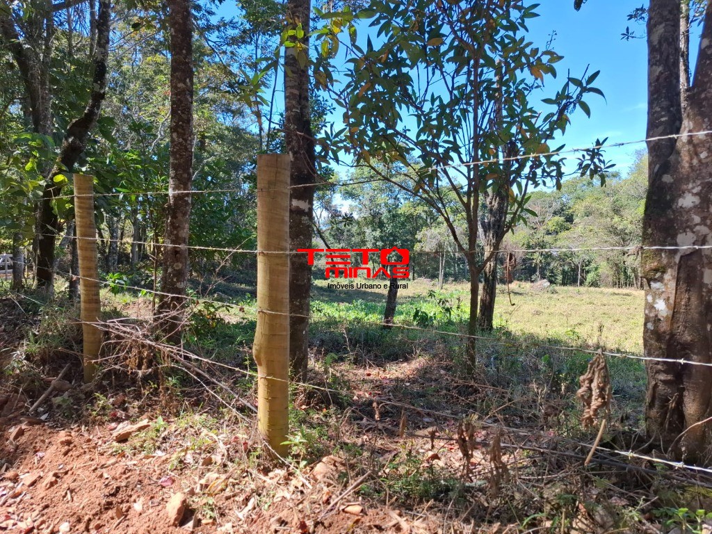 Chácara à venda - Foto 12