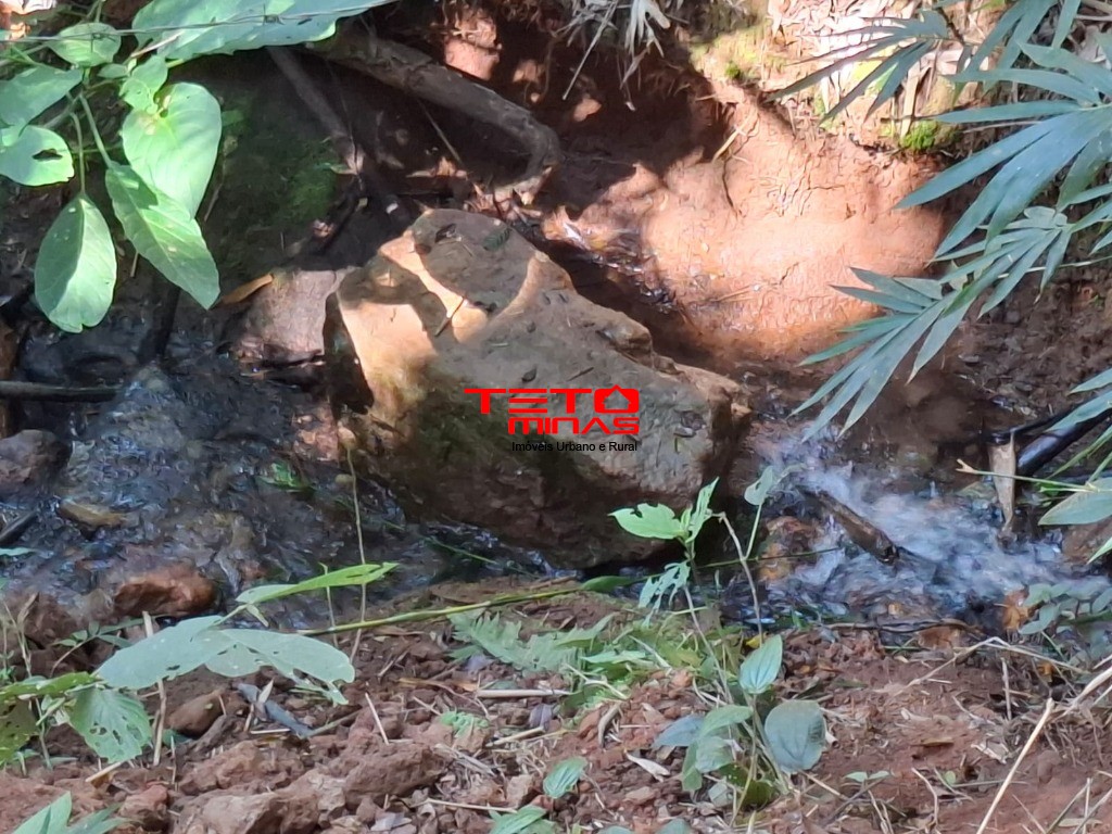 Chácara à venda - Foto 7