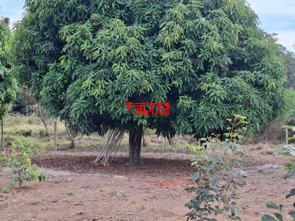 Chácara à venda - Foto 23