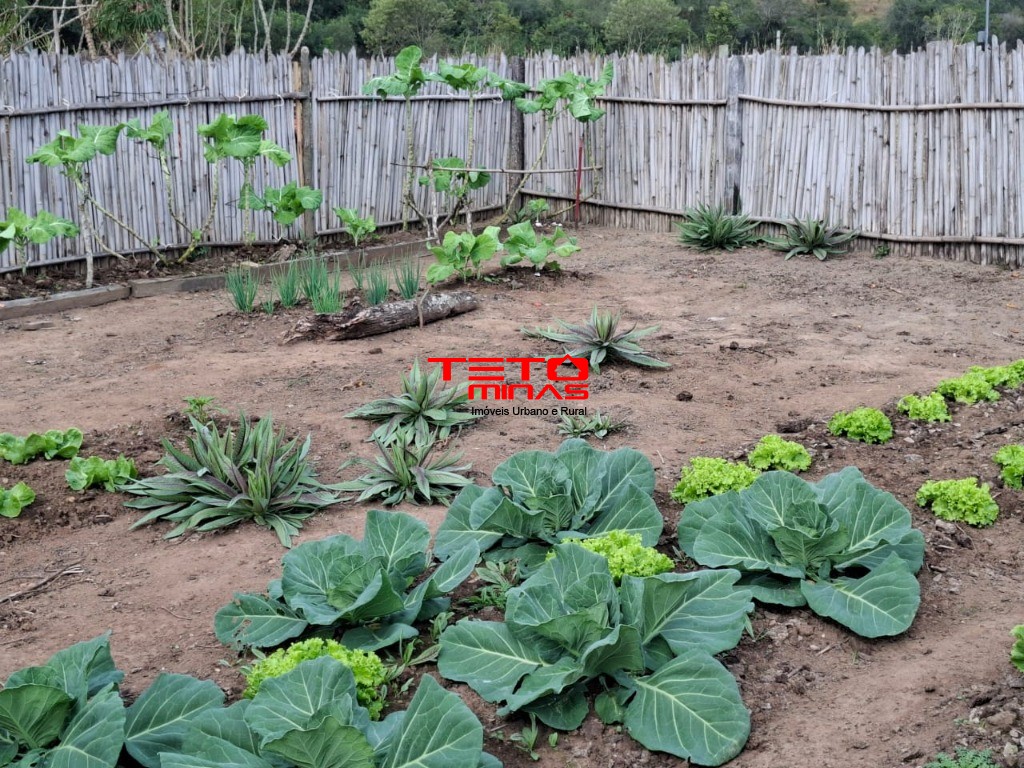 Chácara à venda - Foto 16