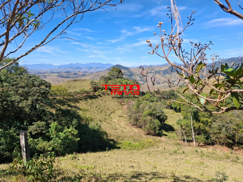 Chácara à venda - Foto 4