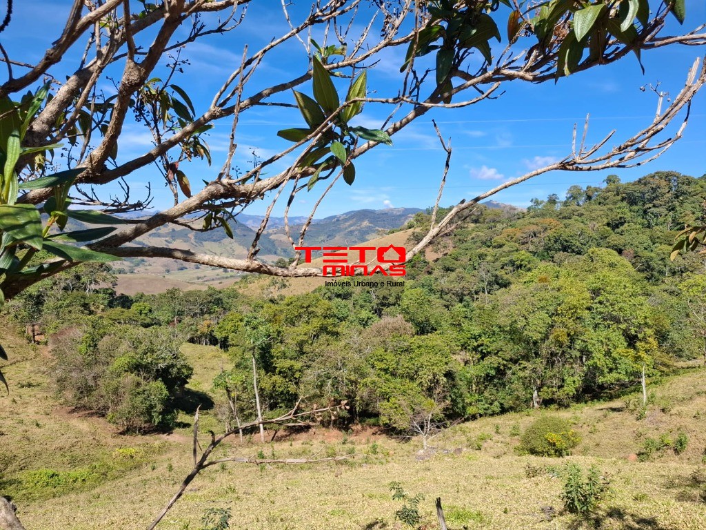 Chácara à venda - Foto 6