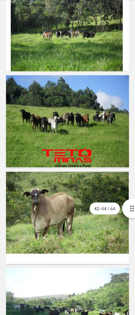 Fazenda-Sítio-Chácara - Foto 3