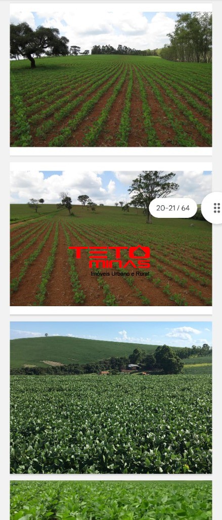 Fazenda-Sítio-Chácara - Foto 5