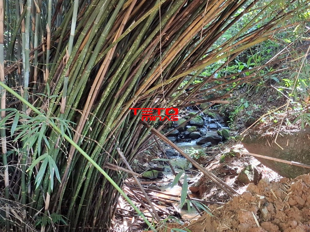 Chácara à venda - Foto 8