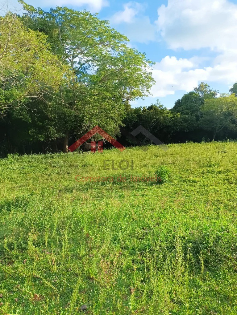 Haras e Área Rural Padrão à venda, 4m² - Foto 15