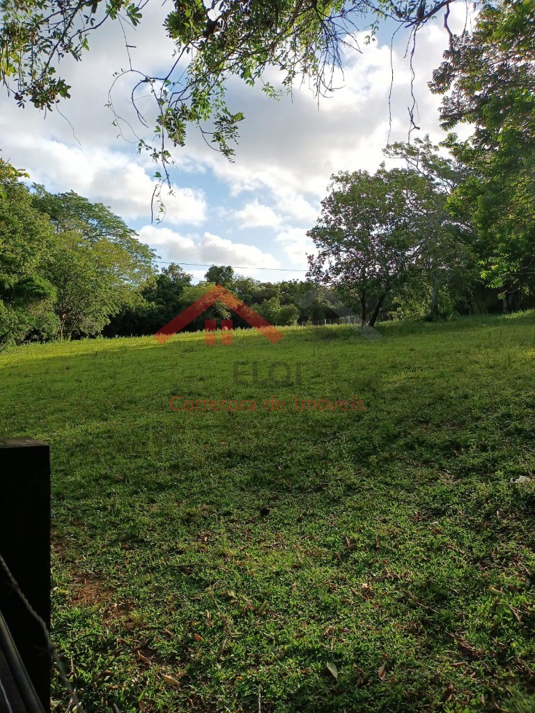 Haras e Área Rural Padrão à venda, 4m² - Foto 7