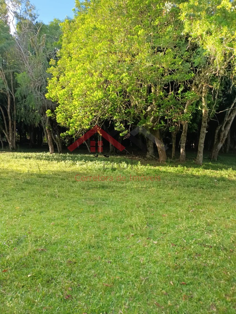 Haras e Área Rural Padrão à venda, 4m² - Foto 12