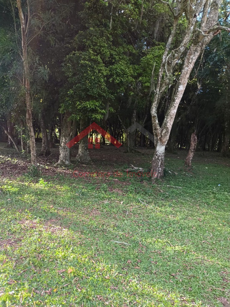 Haras e Área Rural Padrão à venda, 4m² - Foto 11