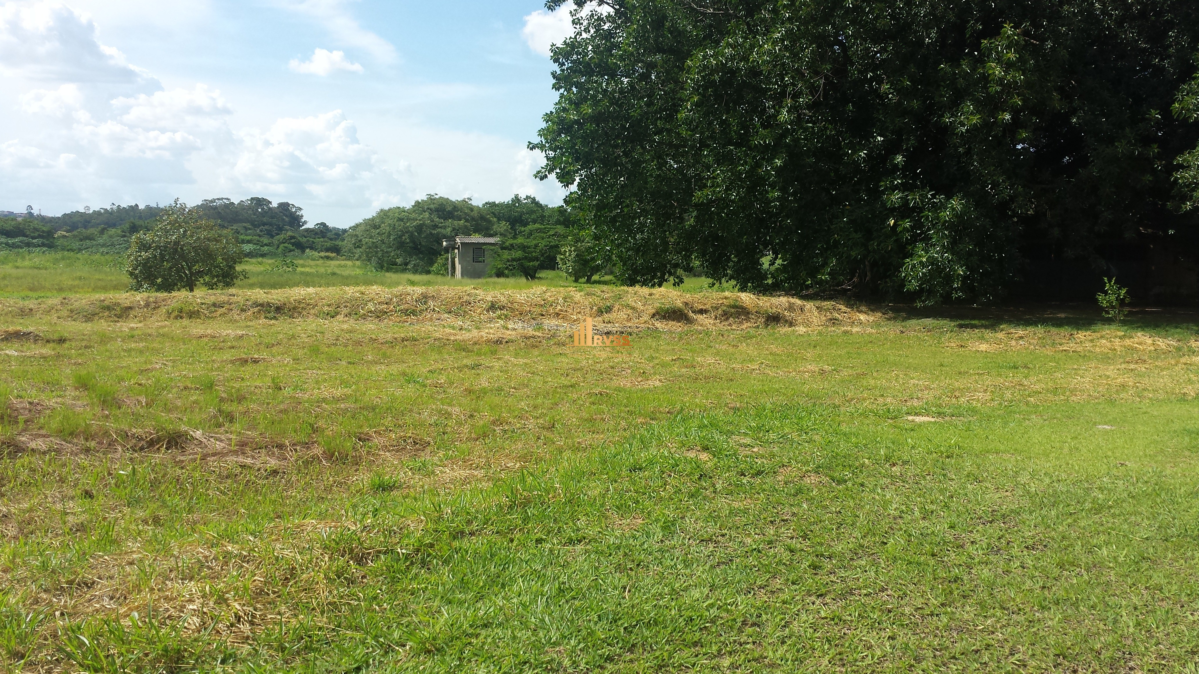 Terreno à venda - Foto 4