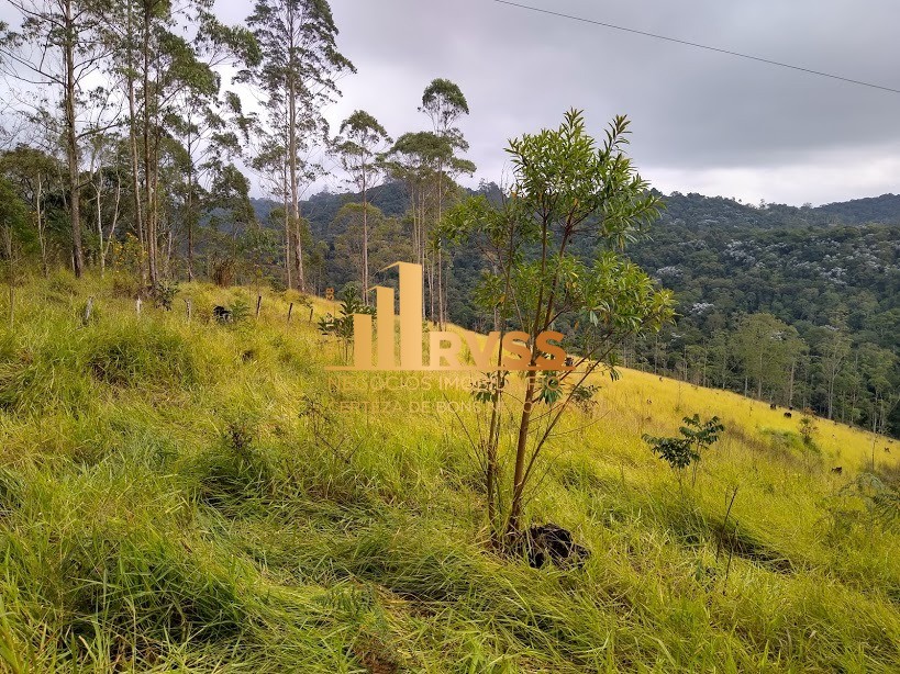 Terreno à venda - Foto 7