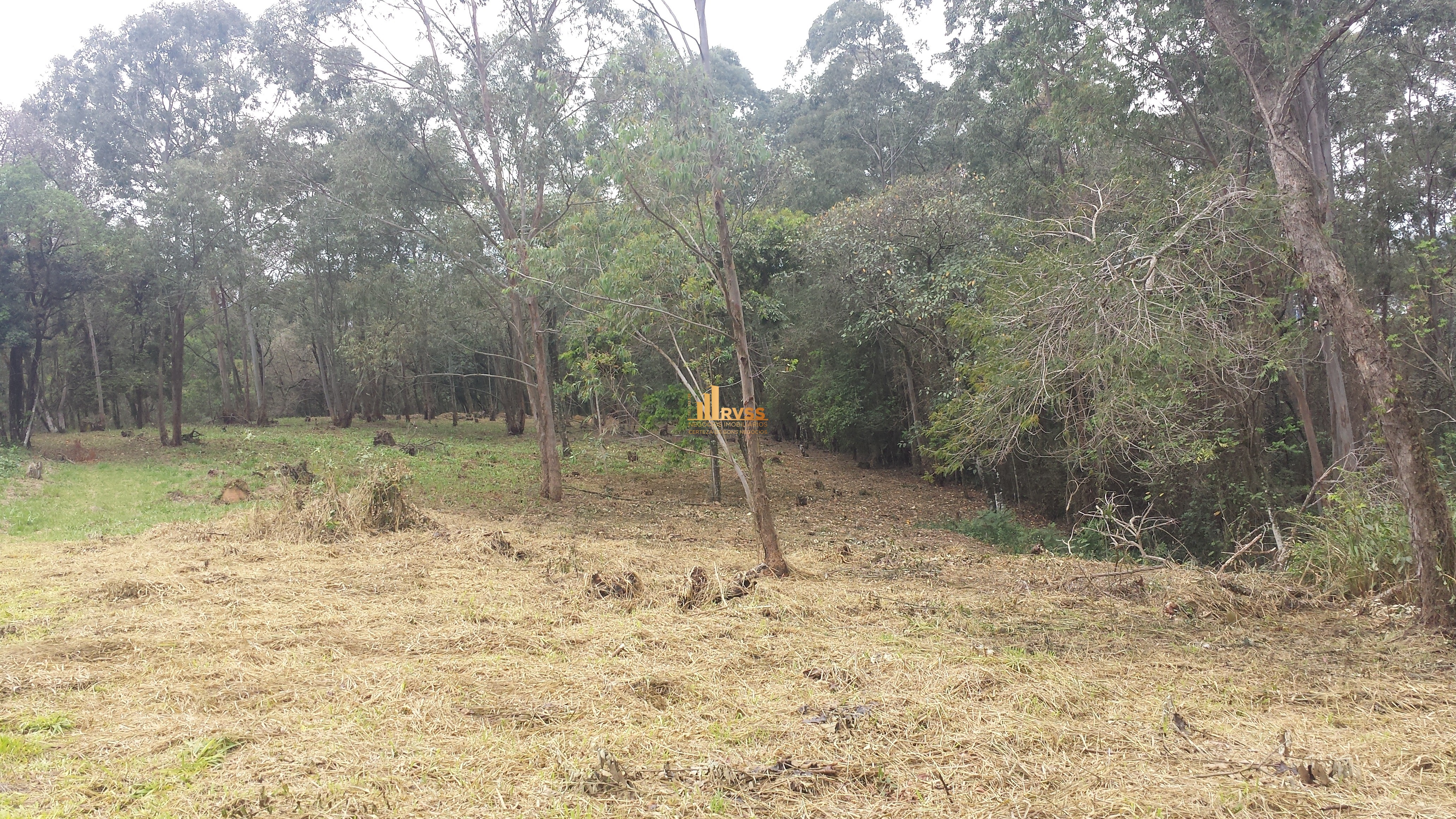 Terreno à venda - Foto 18