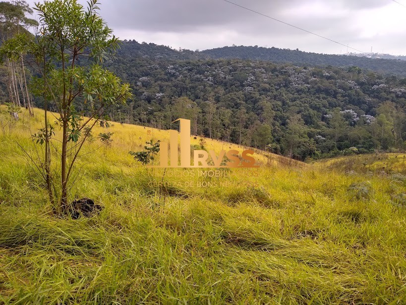 Terreno à venda - Foto 8