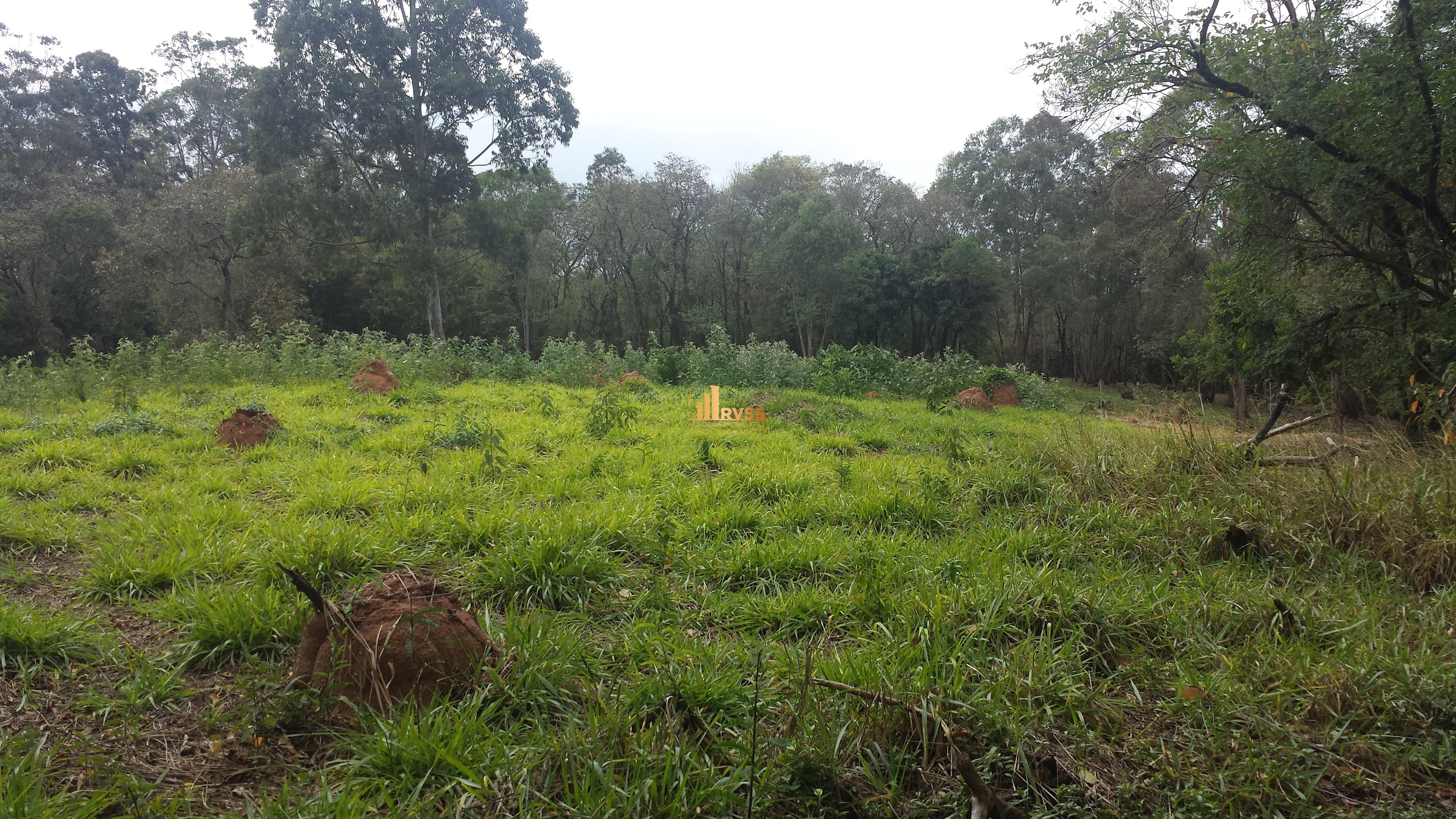 Terreno à venda - Foto 10