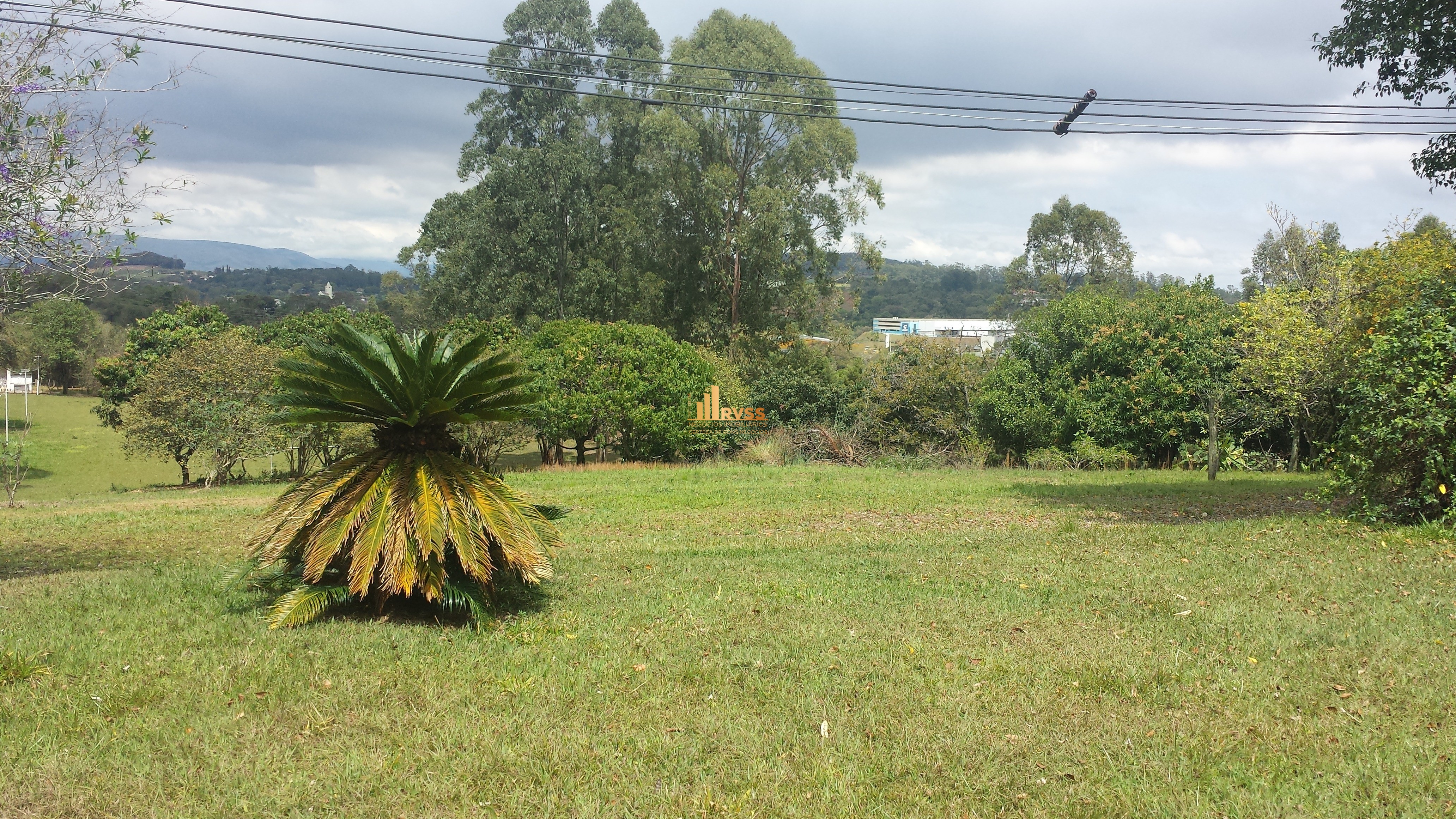 Terreno à venda - Foto 6