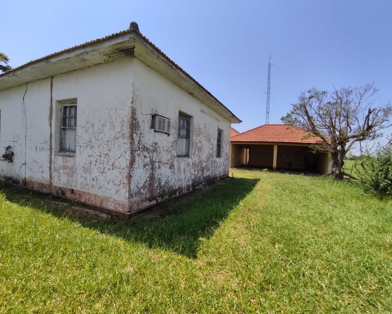 Fazenda à venda, 1000m² - Foto 20