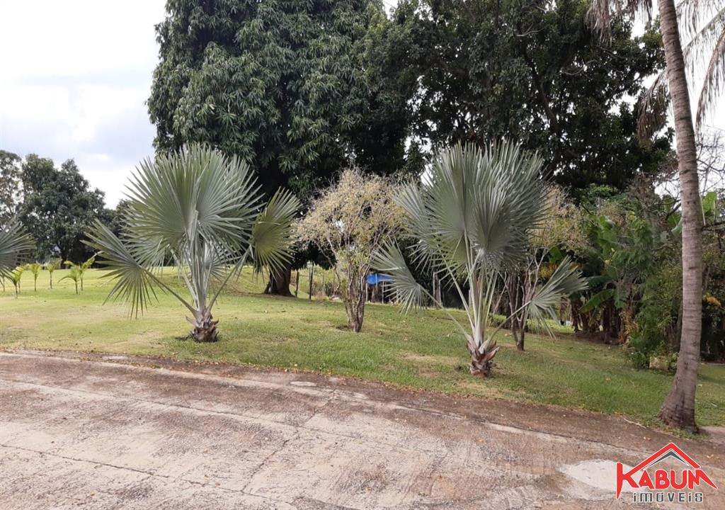 Sítio, 4 quartos, 10 hectares - Foto 3