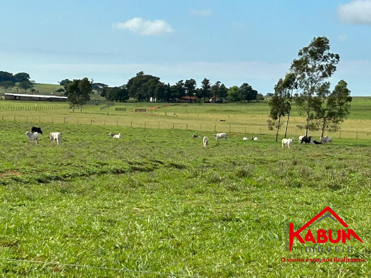 Fazenda à venda, 91m² - Foto 1