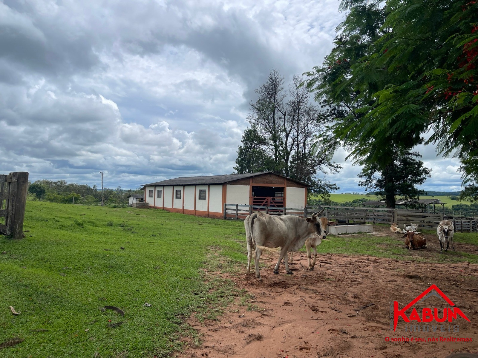 Fazenda à venda - Foto 7