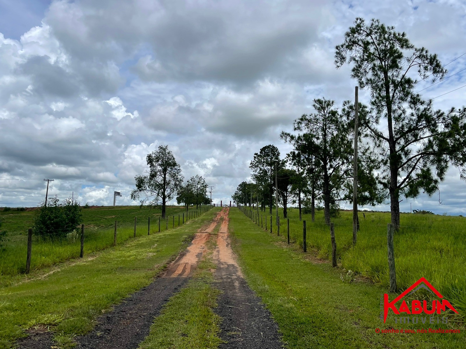 Fazenda à venda - Foto 4