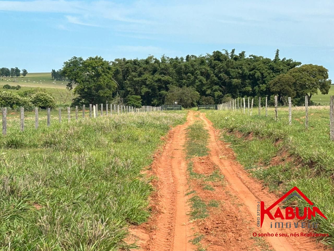 Fazenda à venda, 91m² - Foto 11