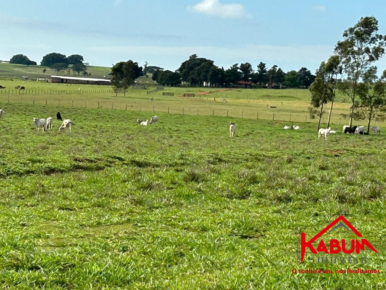 Fazenda à venda, 91m² - Foto 5