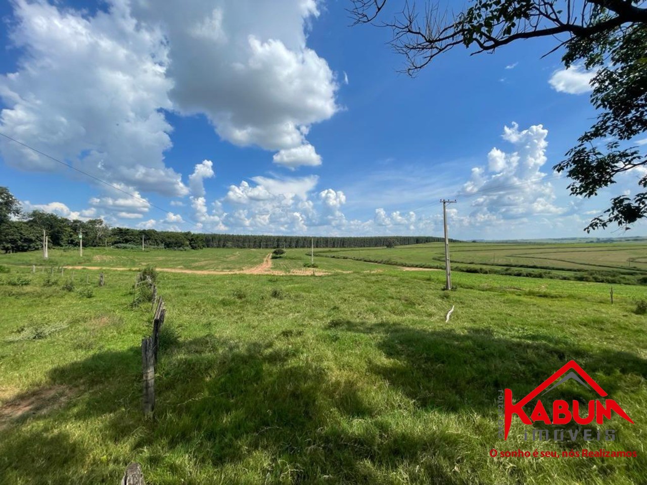 Fazenda à venda com 5 quartos, 147m² - Foto 9