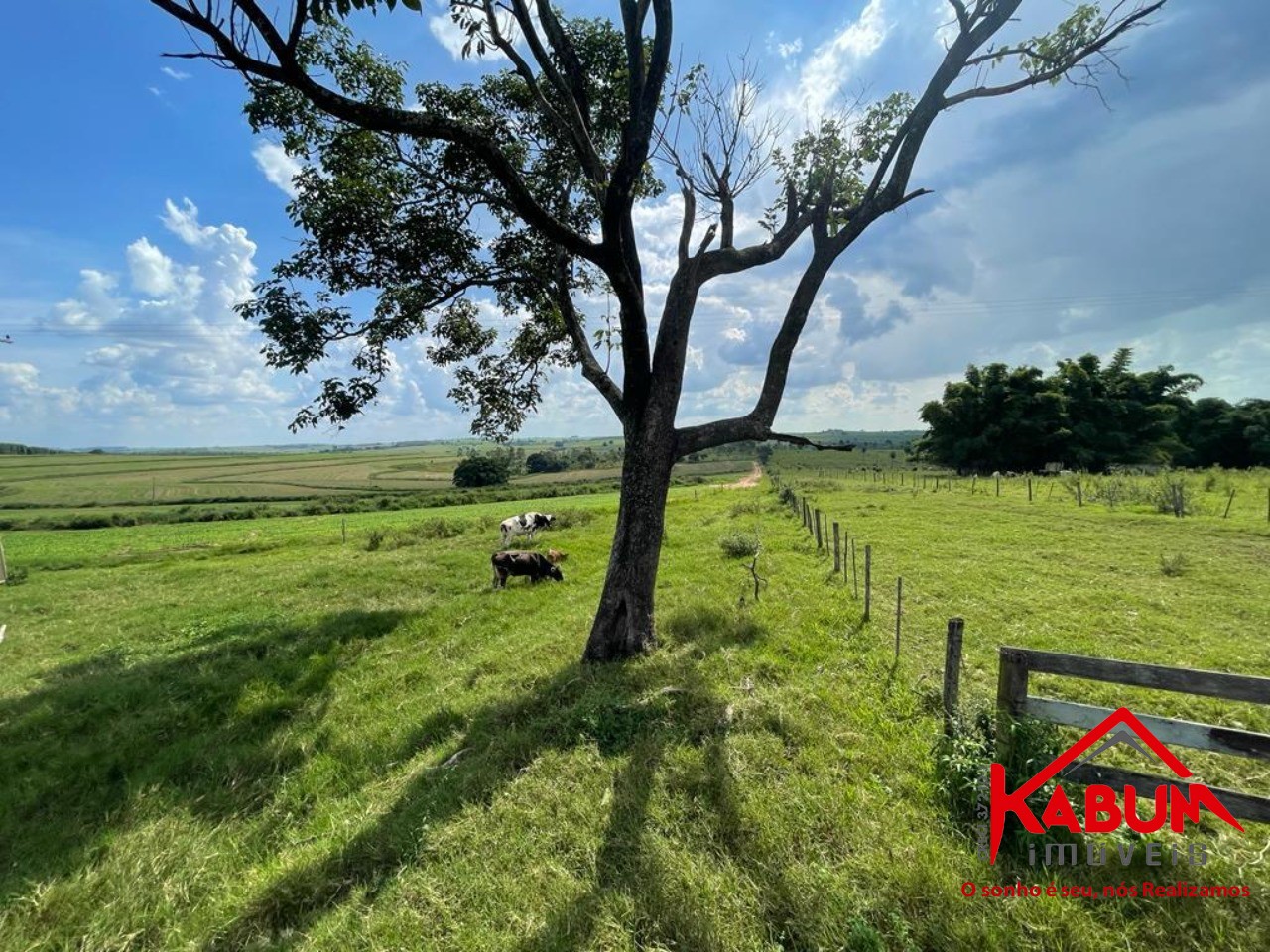 Fazenda à venda com 5 quartos, 147m² - Foto 10