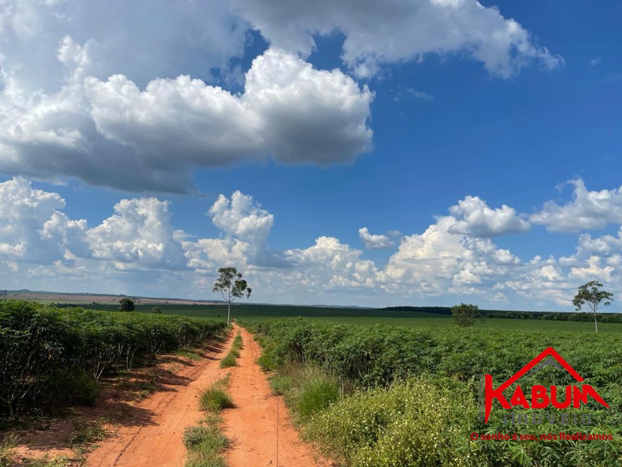 Fazenda à venda com 5 quartos, 147m² - Foto 13