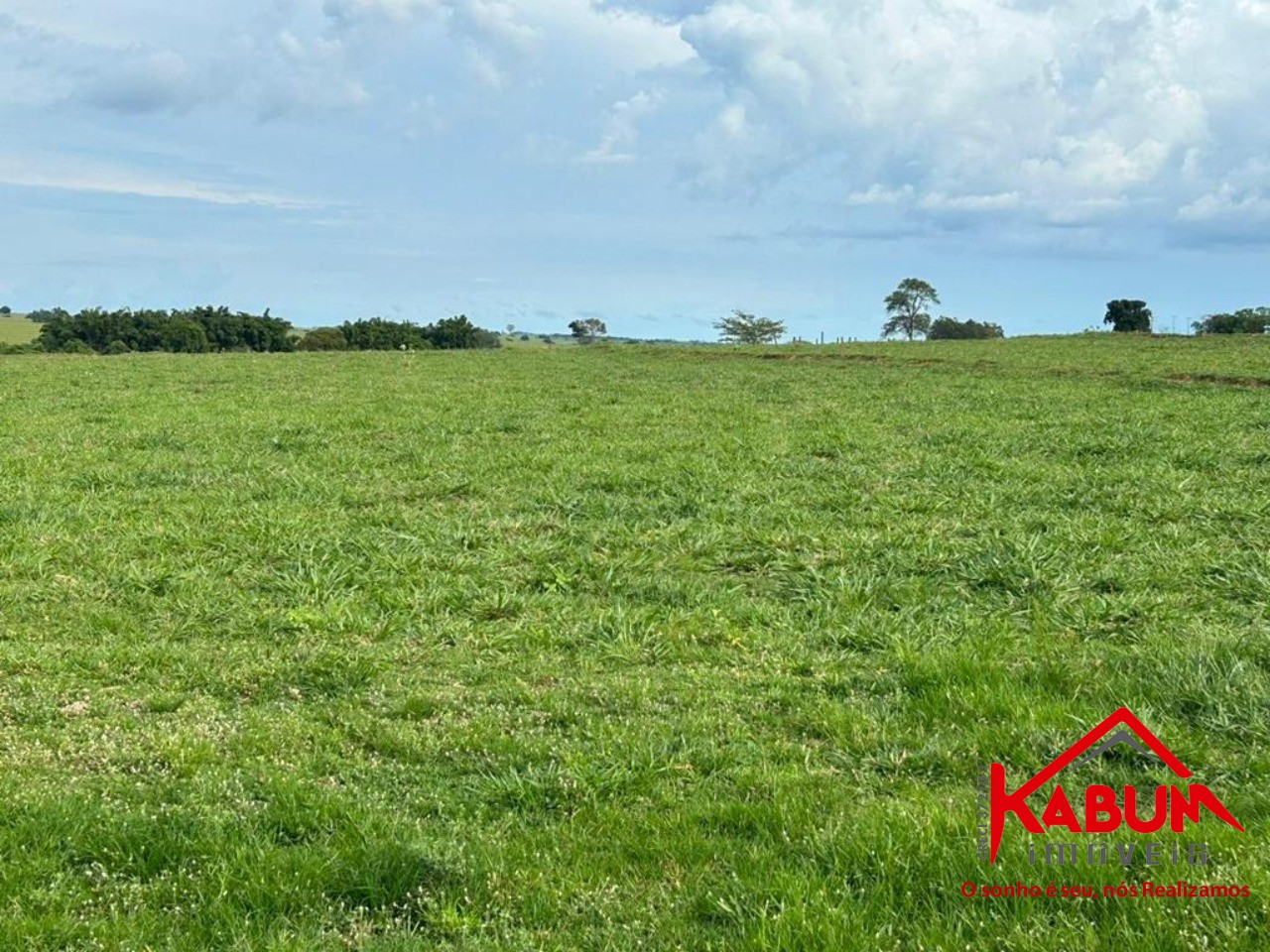 Terreno - Foto 1