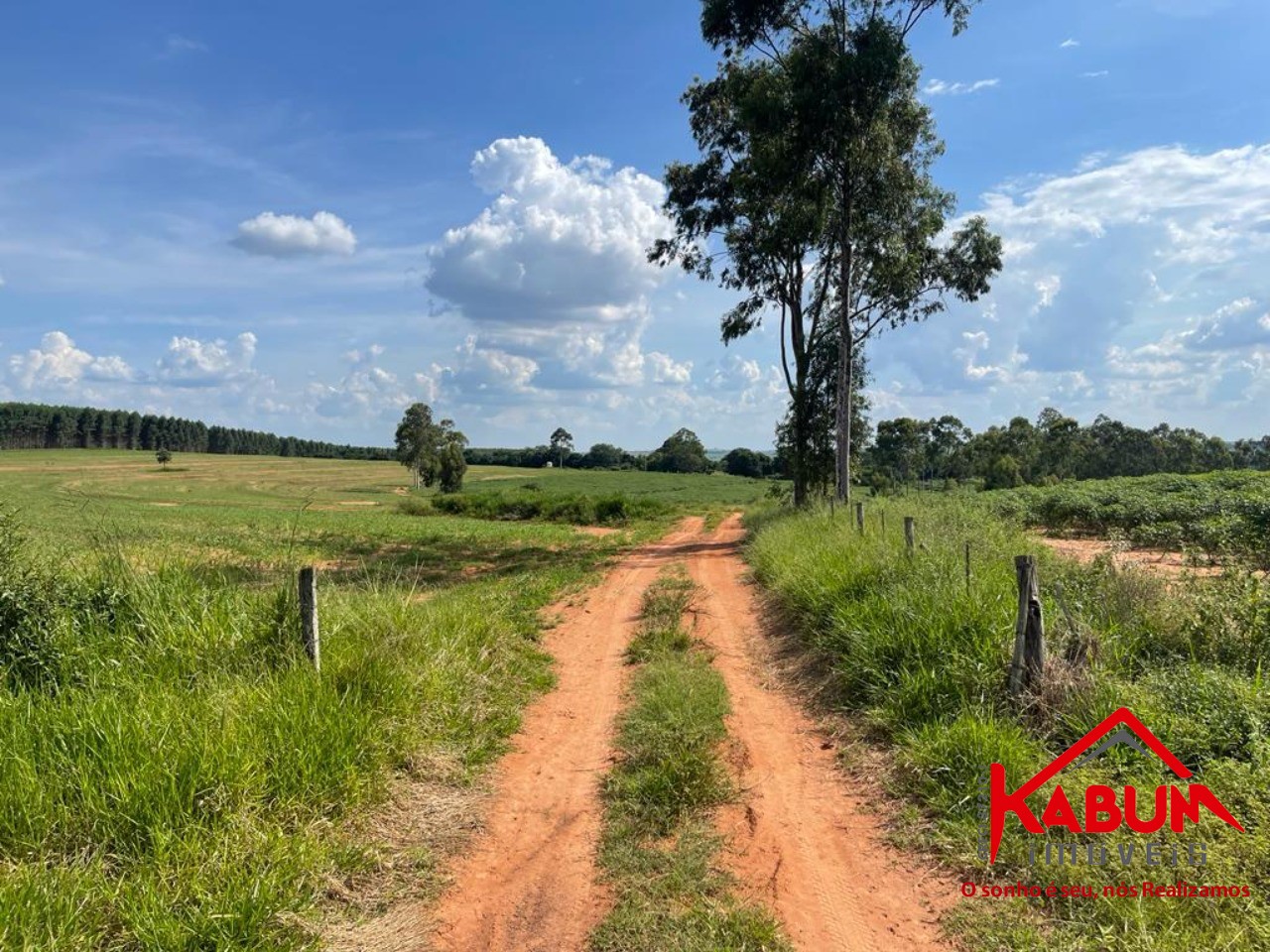 Fazenda à venda com 5 quartos, 147m² - Foto 16