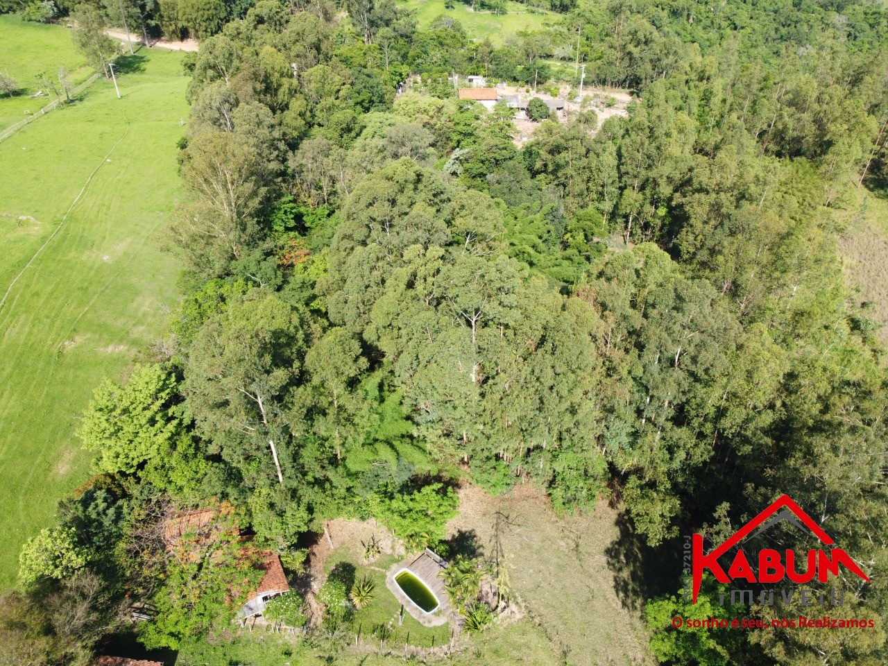 Sítio, 4 quartos, 6 hectares - Foto 4