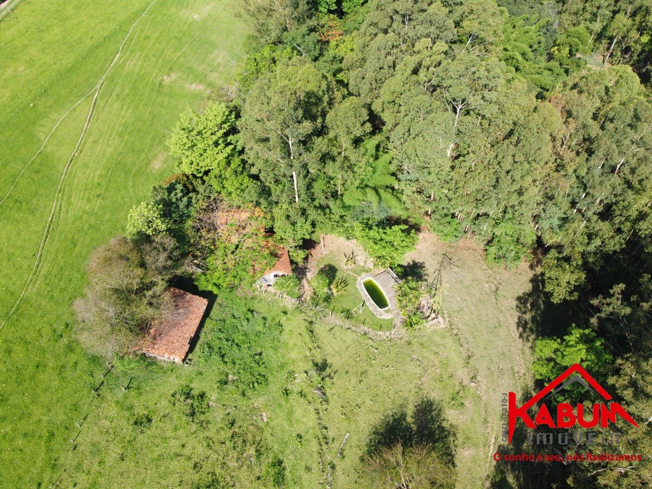Sítio, 4 quartos, 6 hectares - Foto 3