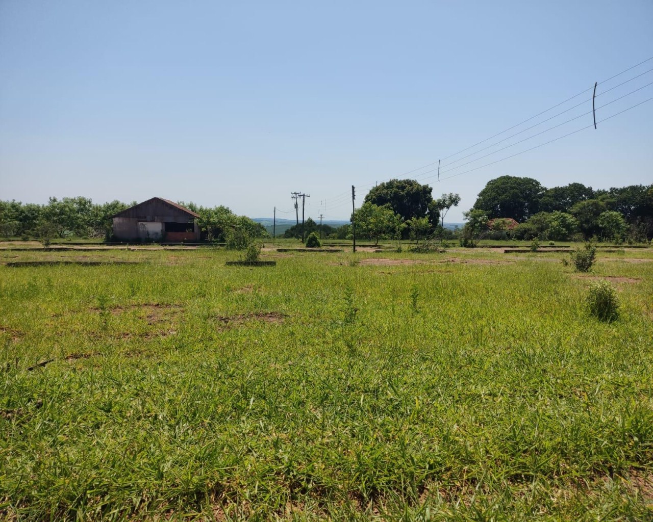 Fazenda à venda, 1000m² - Foto 9