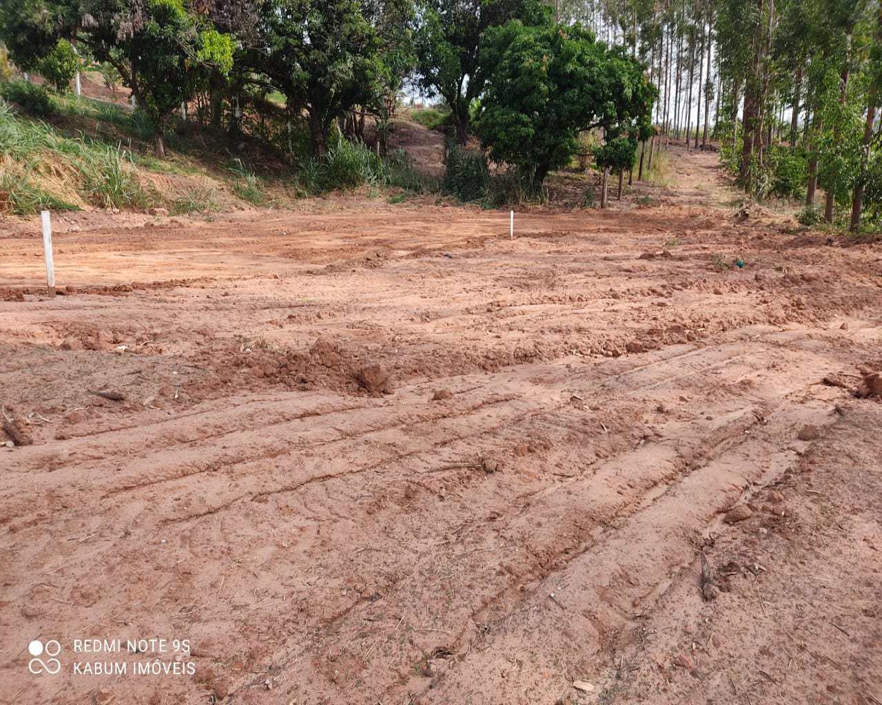 Fazenda à venda, 1005m² - Foto 3