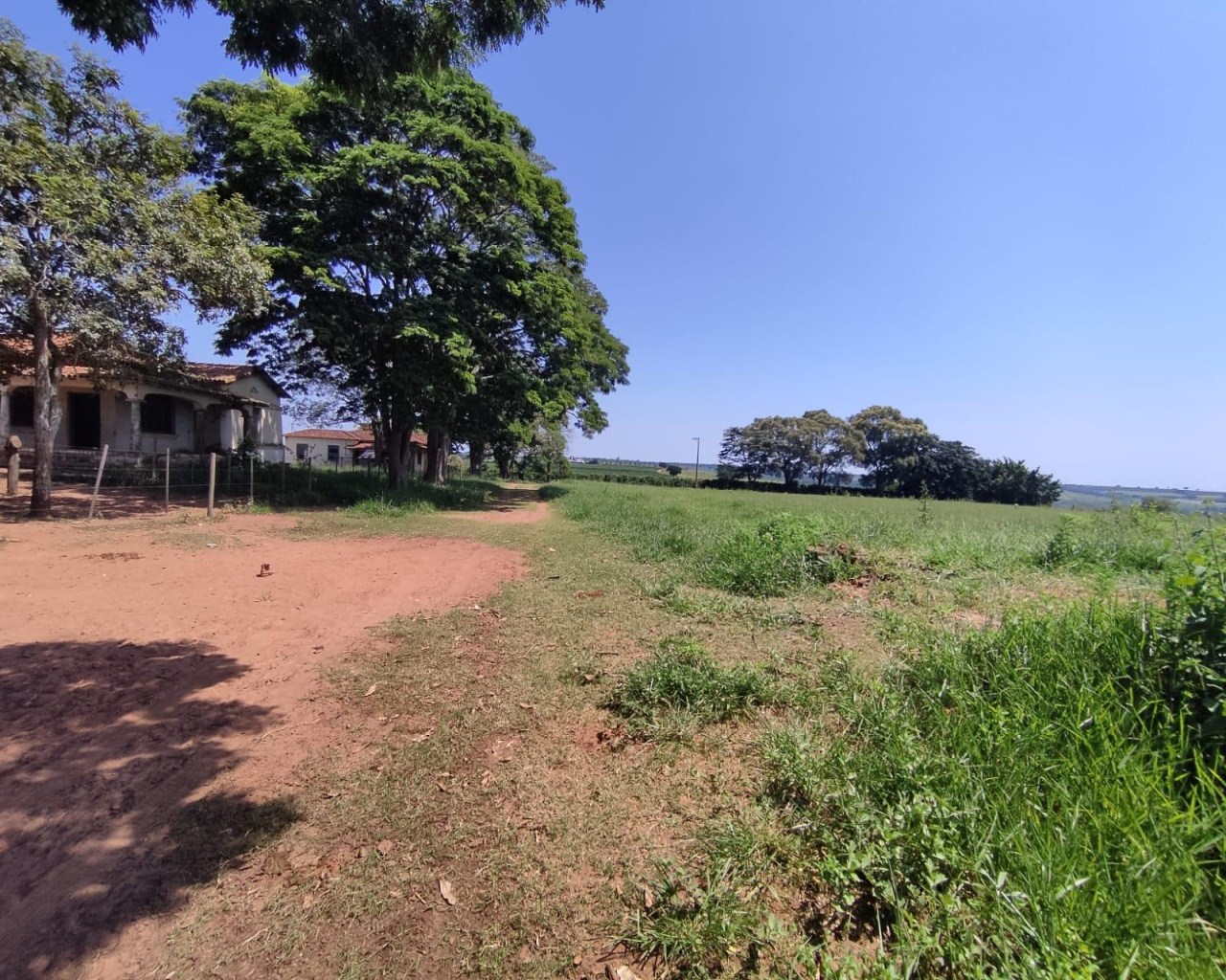 Fazenda à venda, 1000m² - Foto 18