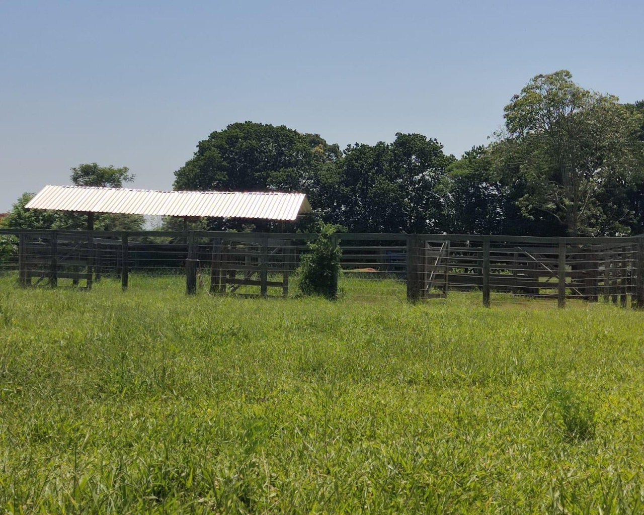 Fazenda à venda, 1000m² - Foto 5