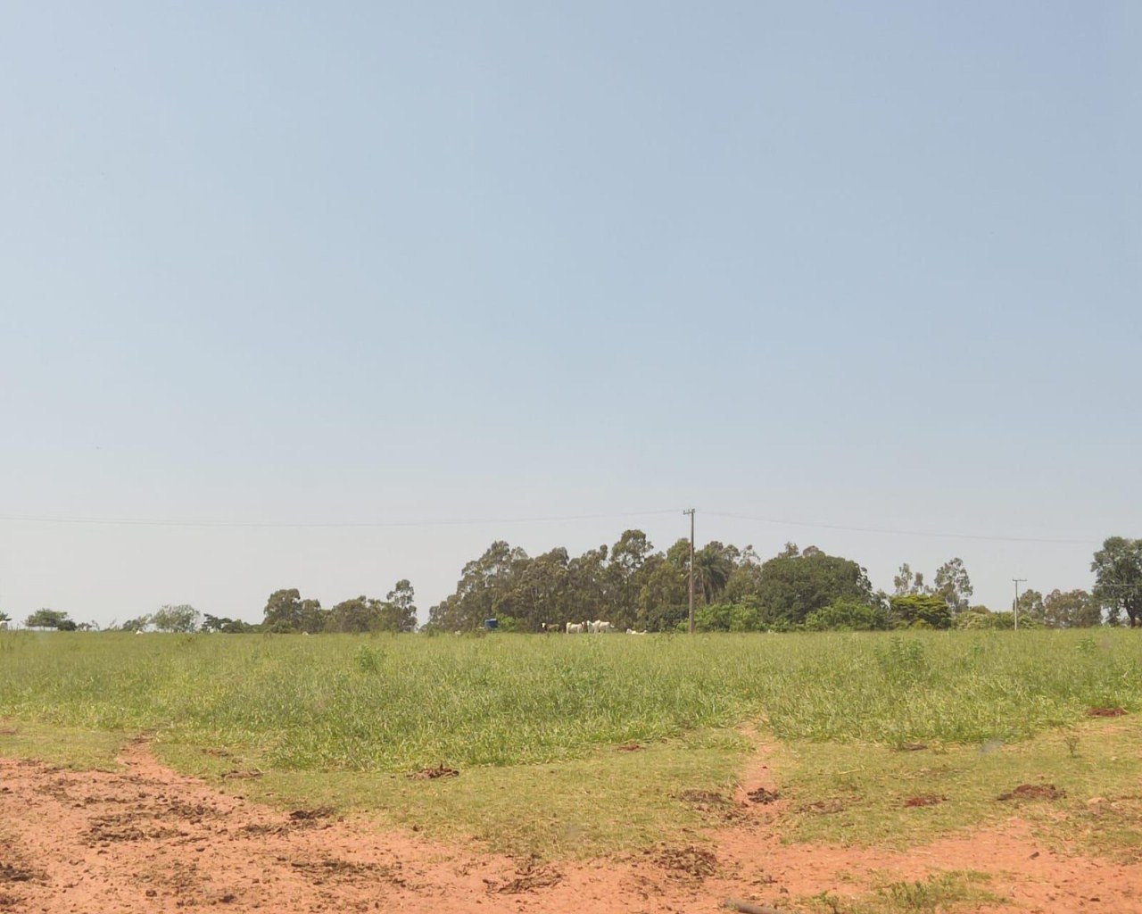 Fazenda à venda, 1000m² - Foto 6